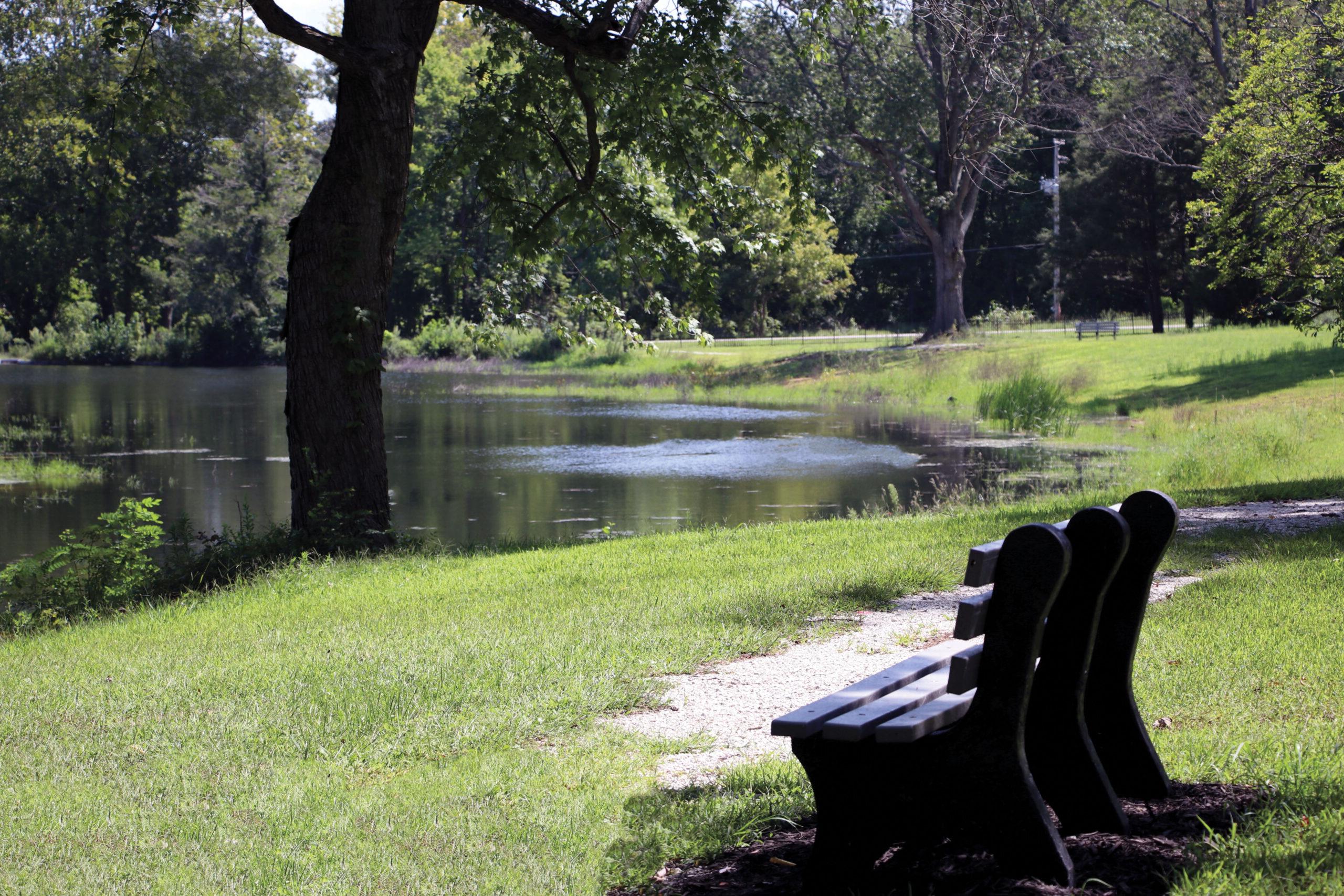 A bench looking over Le Fer lake